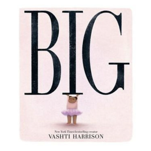 NEW Big Book by Vashti Harrison